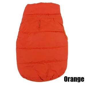 Vibrant Rainbow Jacket for Larger Dogs - Daisy's Amazing Deals