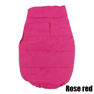 Vibrant Rainbow Jacket for Larger Dogs - Daisy's Amazing Deals