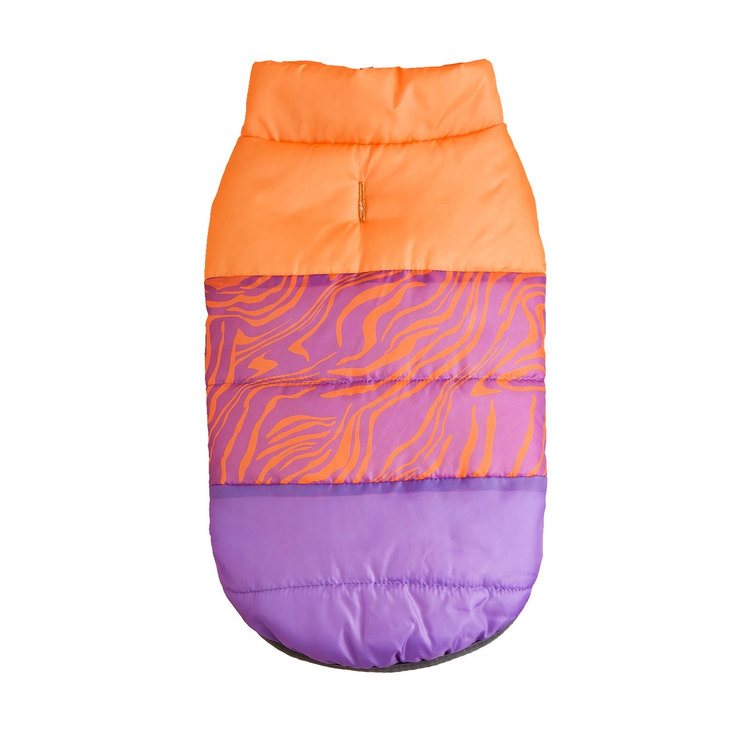 Vibrant Rainbow Jacket for Larger Dogs - Daisy's Amazing Deals