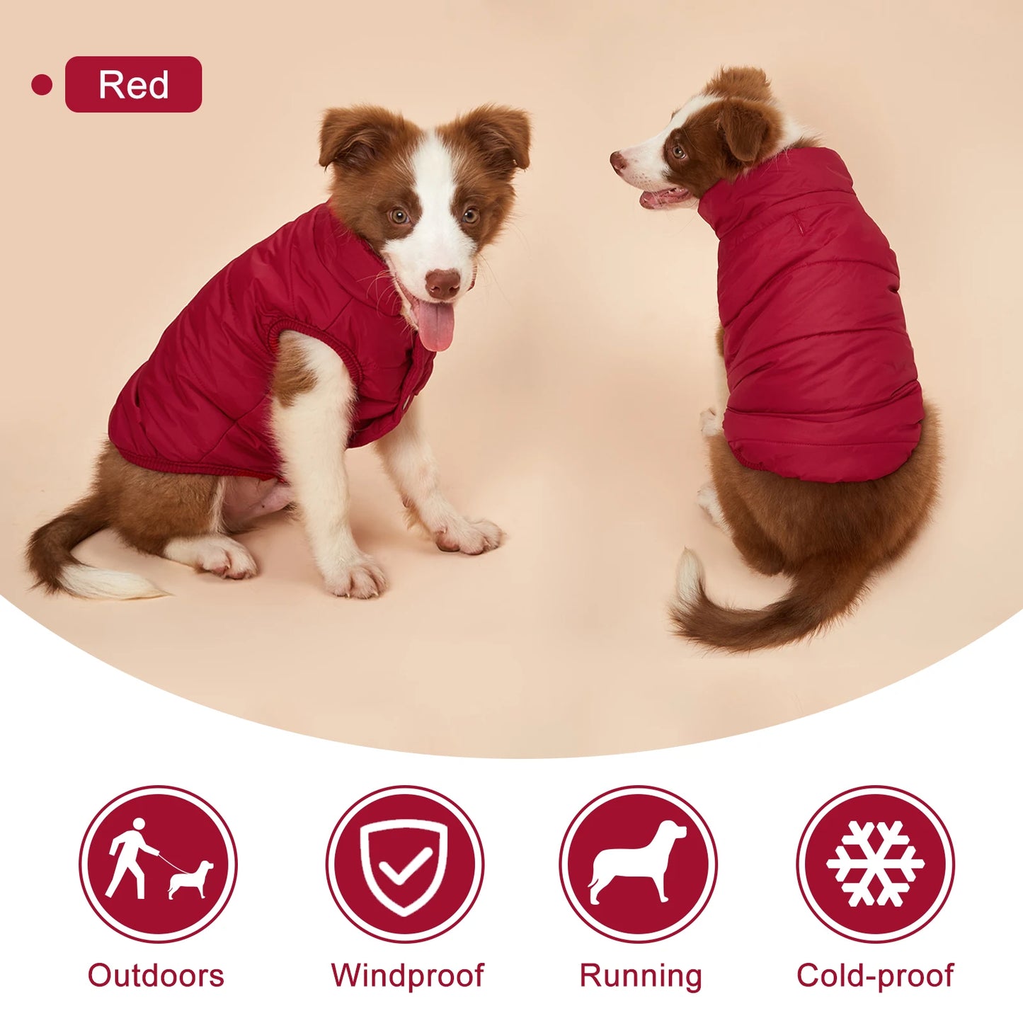 Vibrant Rainbow Jacket for Larger Dogs - Daisy's Amazing Deals