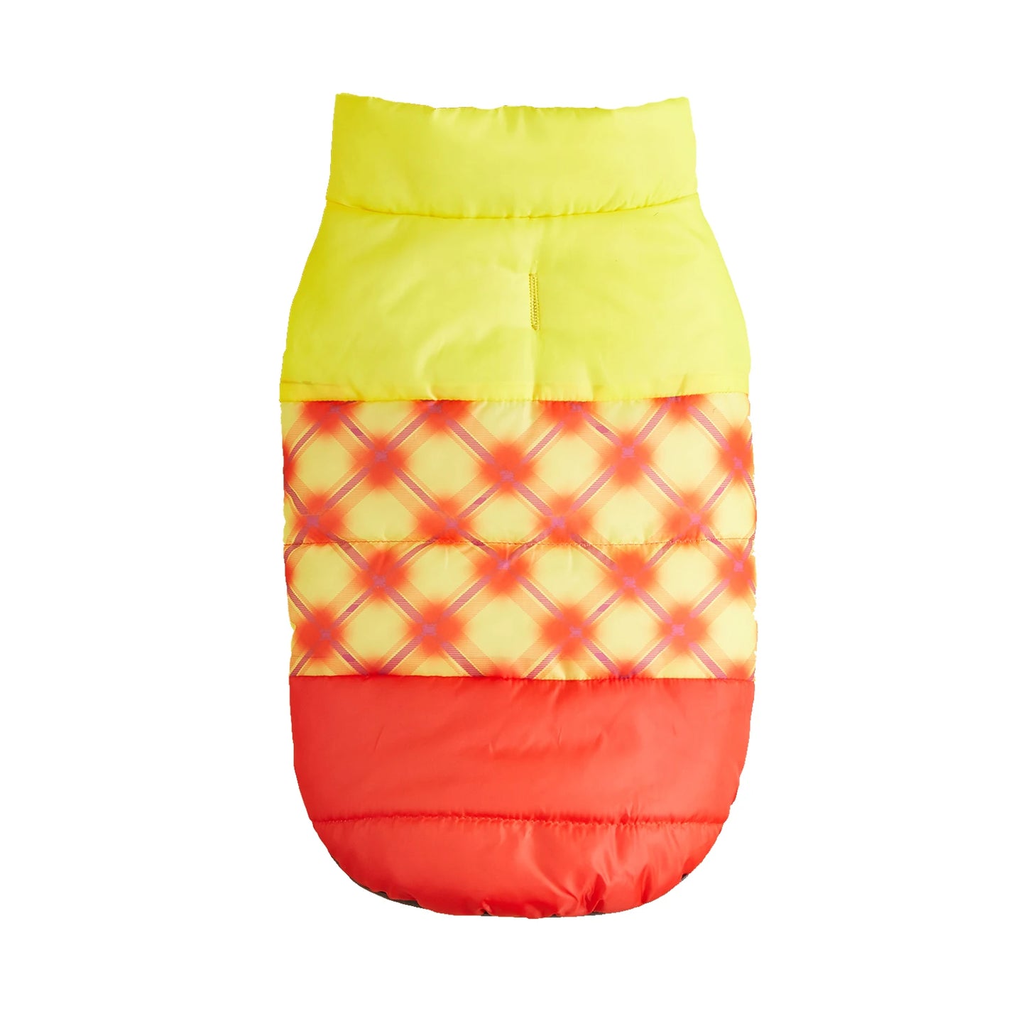 Vibrant Rainbow Jacket for Larger Dogs - Daisy's Amazing Deals