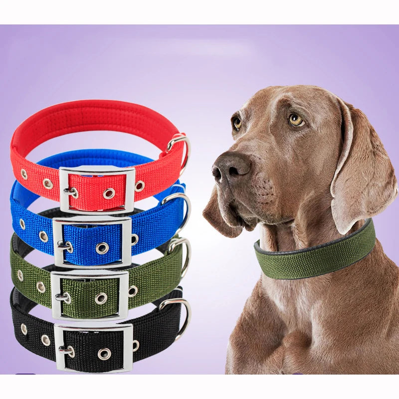 Durable Nylon Dog Collar for Everyday Style & Comfort - Daisy's Amazing Deals