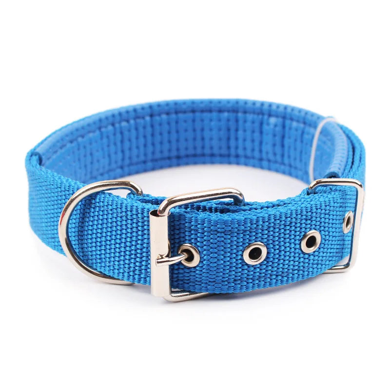 Durable Nylon Dog Collar for Everyday Style & Comfort - Daisy's Amazing Deals