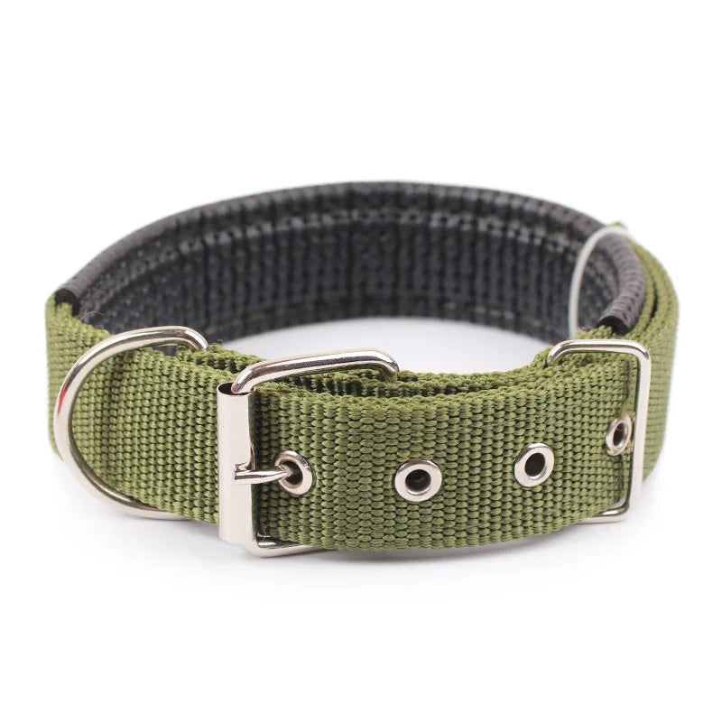 Durable Nylon Dog Collar for Everyday Style & Comfort - Daisy's Amazing Deals