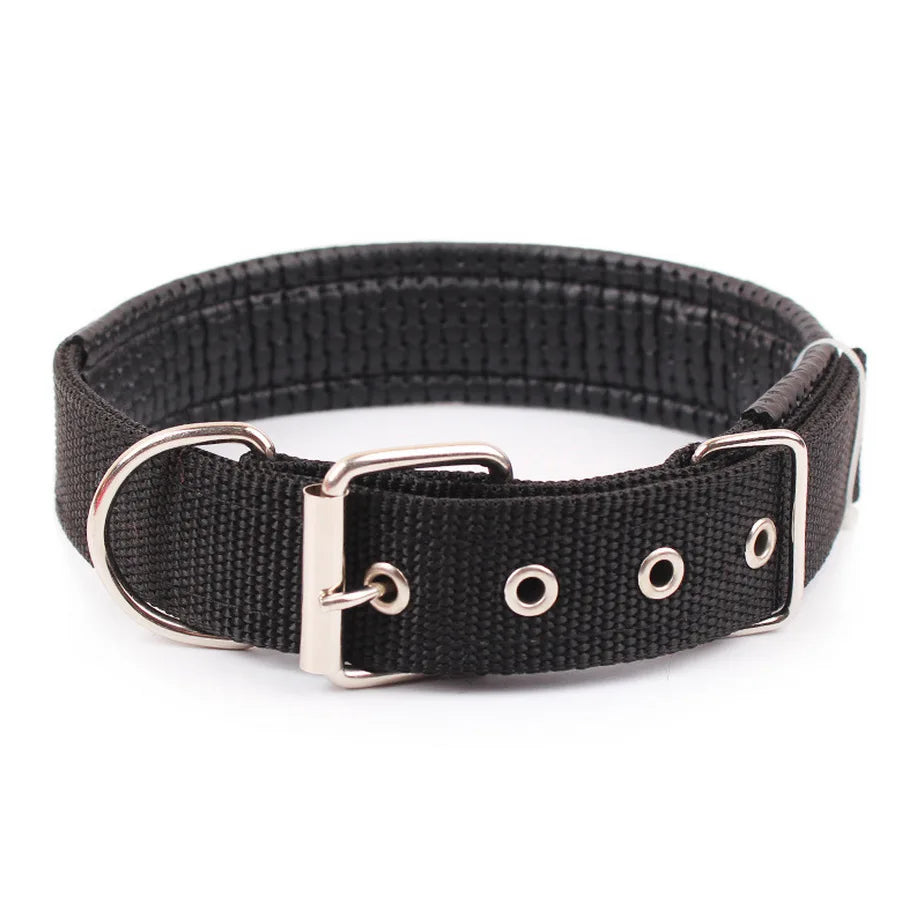 Durable Nylon Dog Collar for Everyday Style & Comfort - Daisy's Amazing Deals