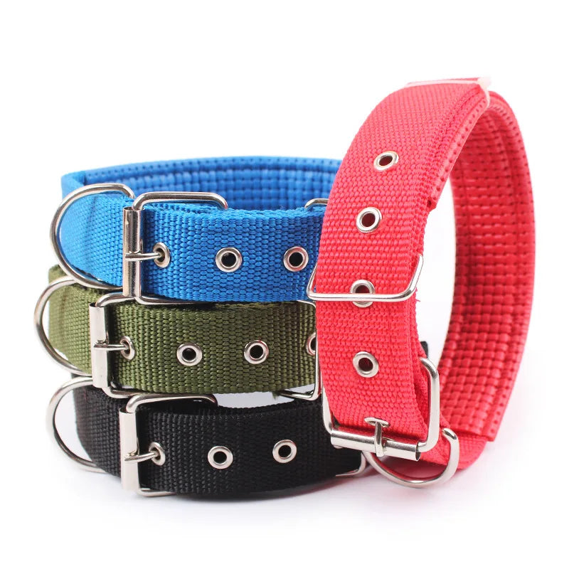 Durable Nylon Dog Collar for Everyday Style & Comfort - Daisy's Amazing Deals