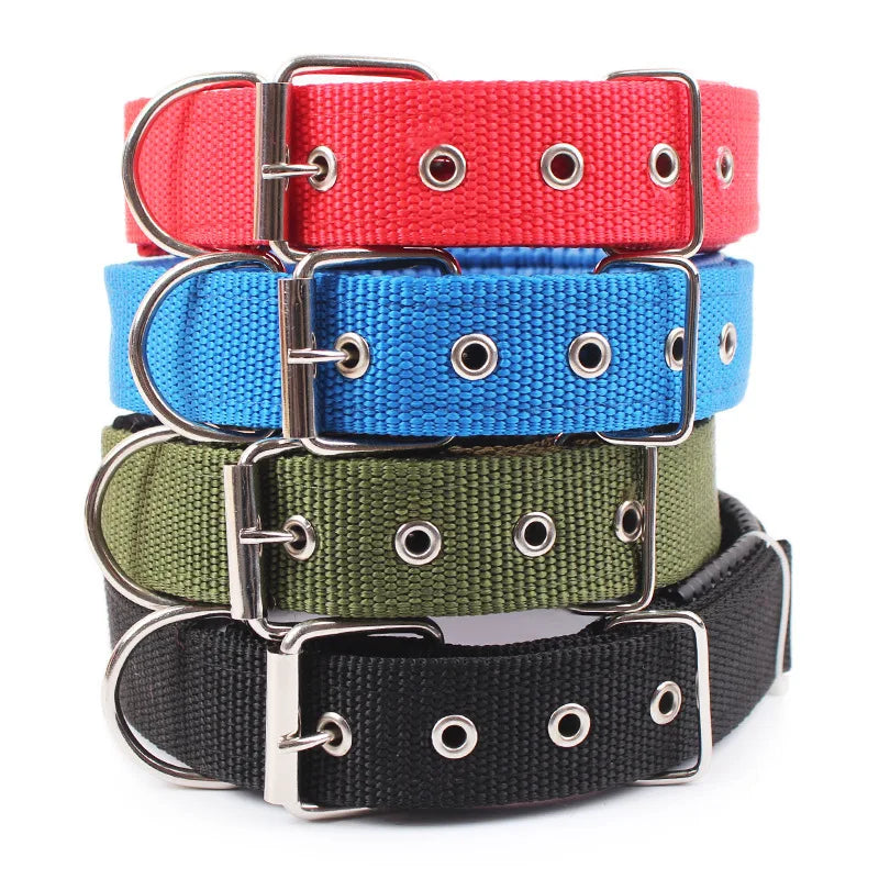 Durable Nylon Dog Collar for Everyday Style & Comfort - Daisy's Amazing Deals