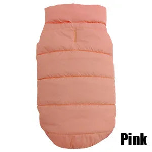Vibrant Rainbow Jacket for Larger Dogs - Daisy's Amazing Deals