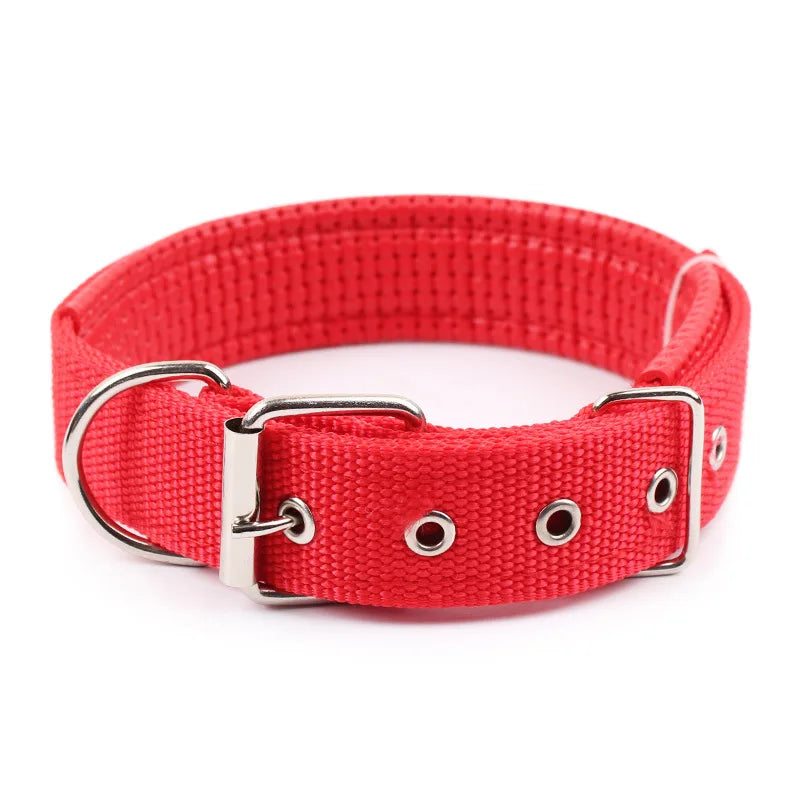 Durable Nylon Dog Collar for Everyday Style & Comfort - Daisy's Amazing Deals