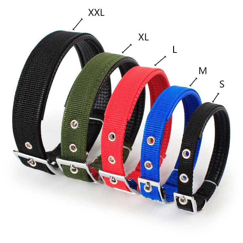 Durable Nylon Dog Collar for Everyday Style & Comfort - Daisy's Amazing Deals
