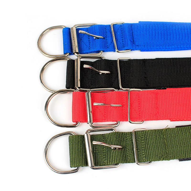 Durable Nylon Dog Collar for Everyday Style & Comfort - Daisy's Amazing Deals