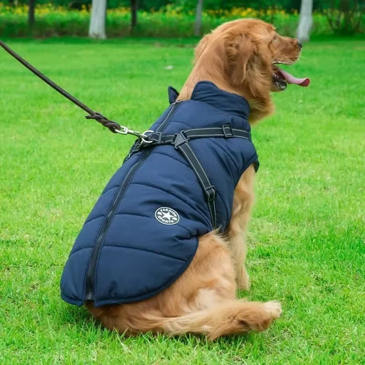 Incredibly Comfortable Dog Jacket With Harness - Daisy's Amazing Deals
