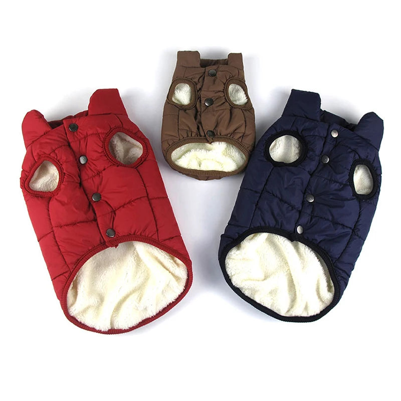 Vibrant Rainbow Jacket for Larger Dogs - Daisy's Amazing Deals