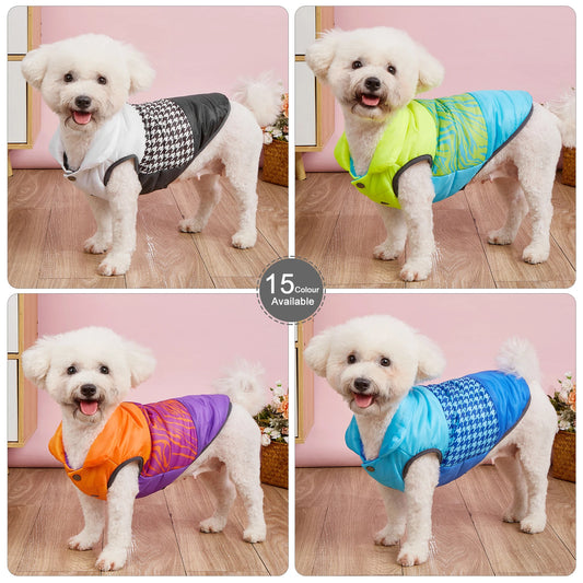Vibrant Rainbow Jacket for Larger Dogs - Daisy's Amazing Deals